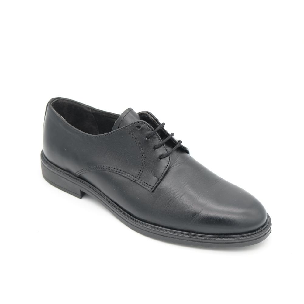 02335_1|fe6a53cadf947f2ab24a63ed50b0a320